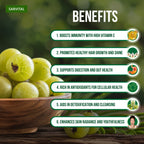 Moringa, Amla & Sattu Combo | Sarvital | 300gm each