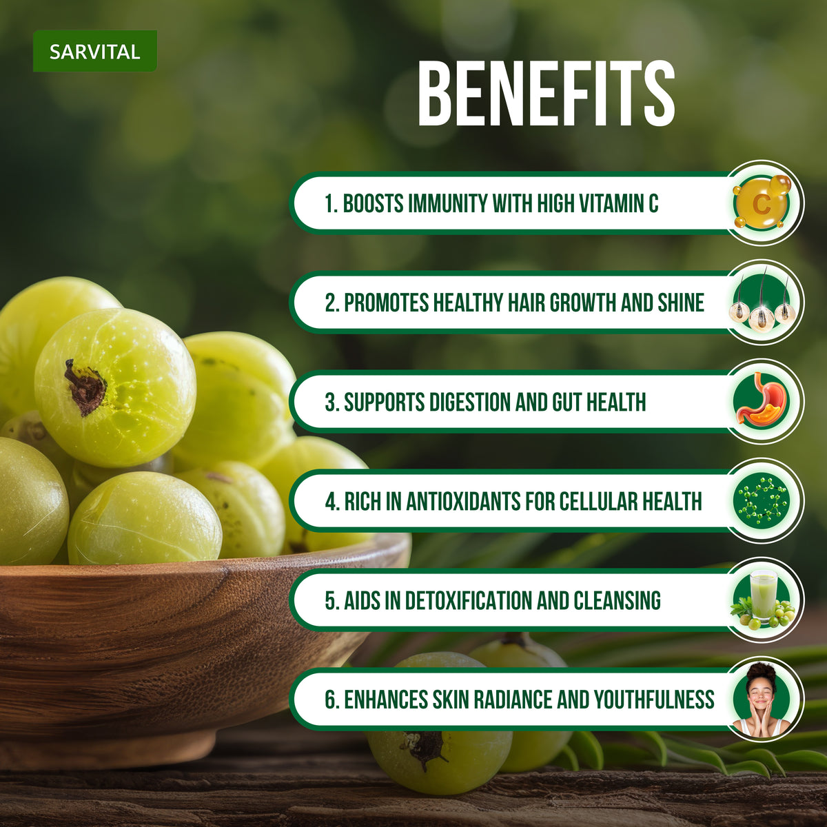 Amla Powder