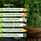 Moringa & Sattu Combo | Protein & Energy | Sarvital | 300gm Each