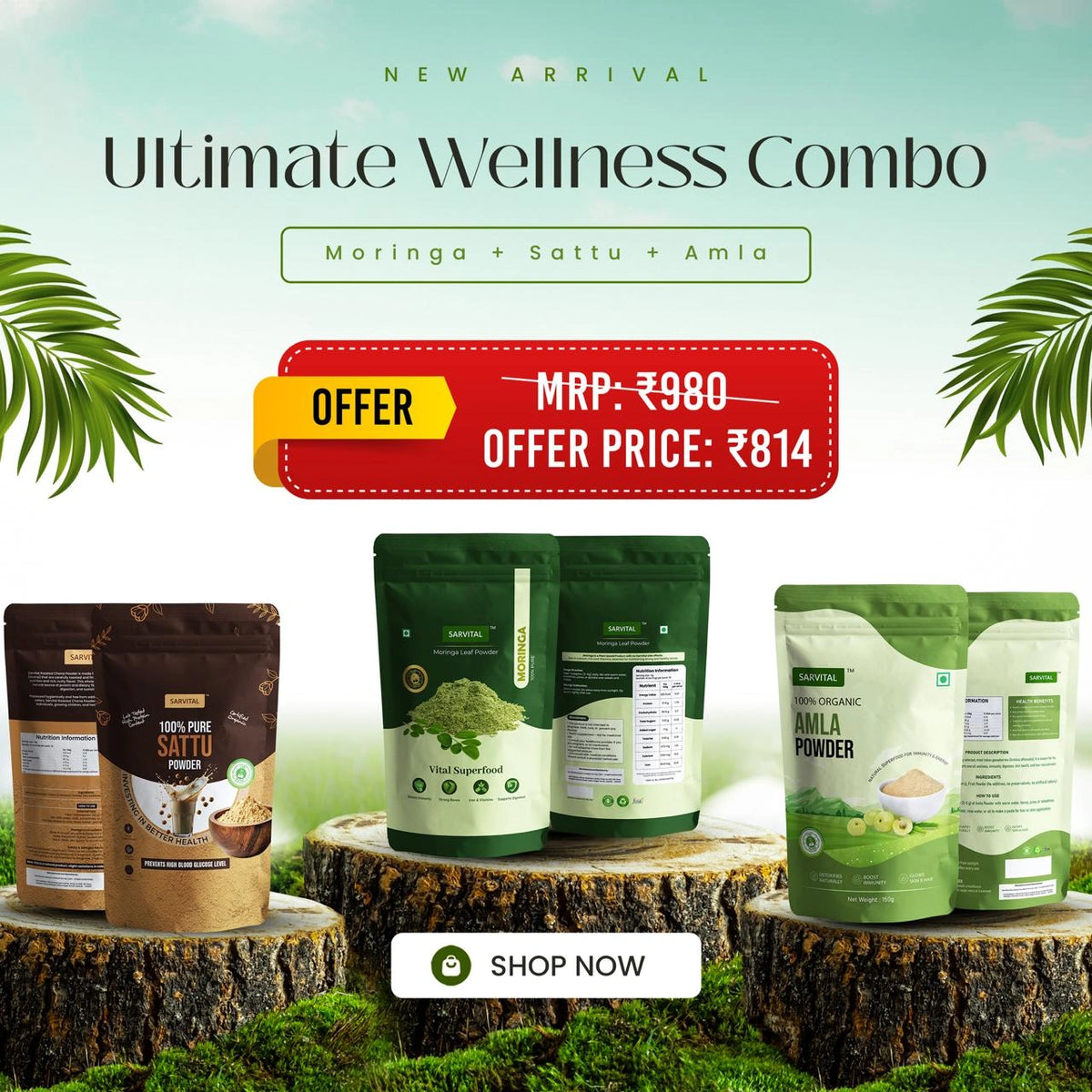 Ultimate Wellness Combo - Moringa + Sattu + Amla (150 g each)